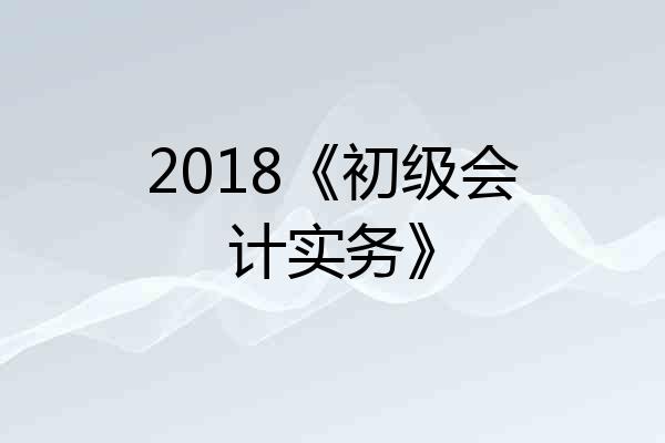 2018《初级会计实务》