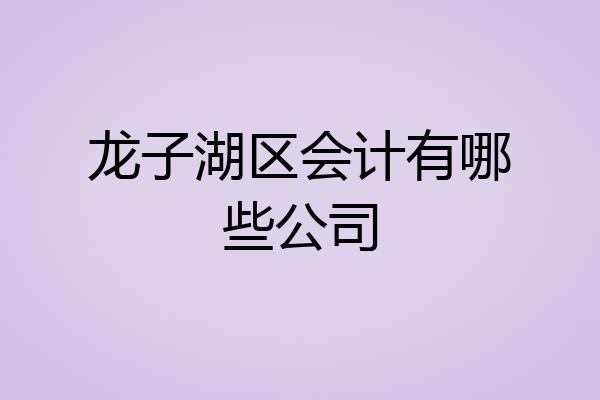 龙子湖区会计有哪些公司