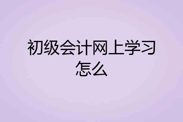 初级会计网上学习怎么
