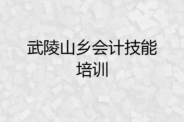 武陵山乡会计技能培训