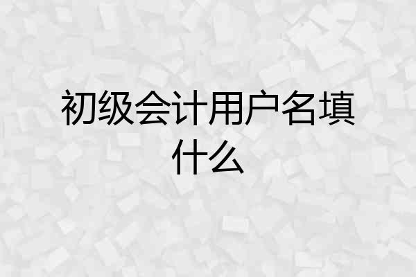 初级会计用户名填什么