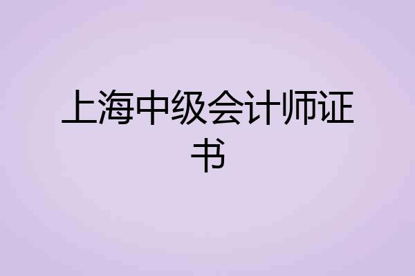 上海中级会计师证书
