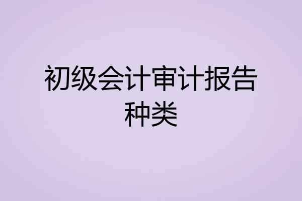 初级会计审计报告种类