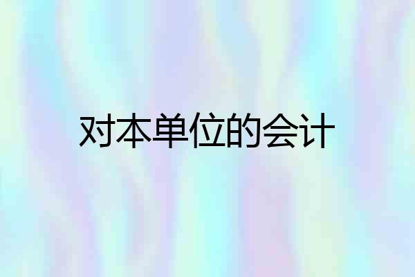 对本单位的会计