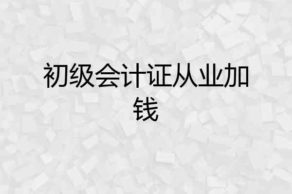 初级会计证从业加钱