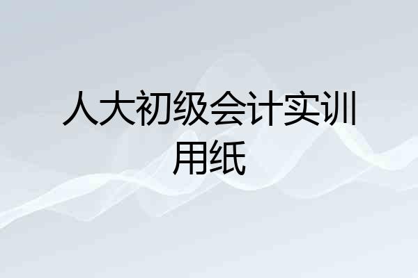人大初级会计实训用纸