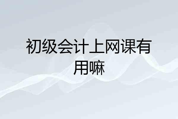 初级会计上网课有用嘛