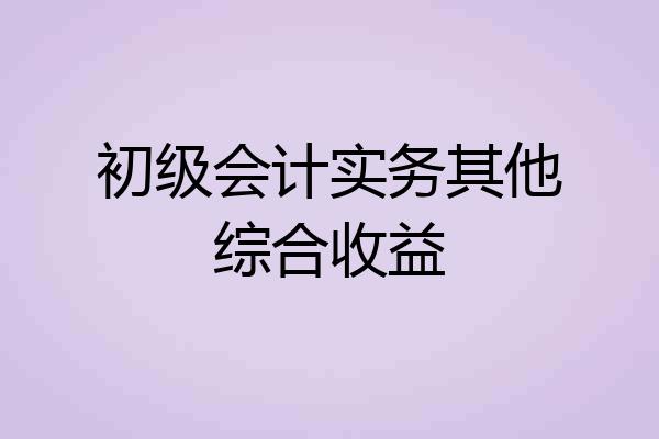 初级会计实务其他综合收益