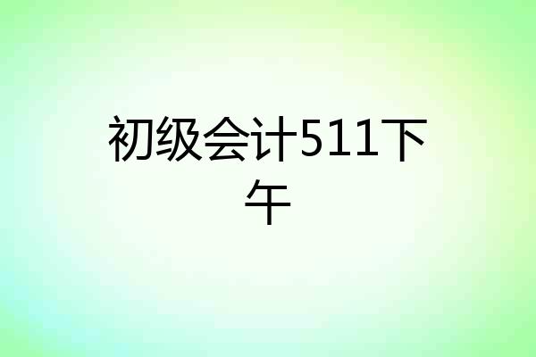 初级会计511下午