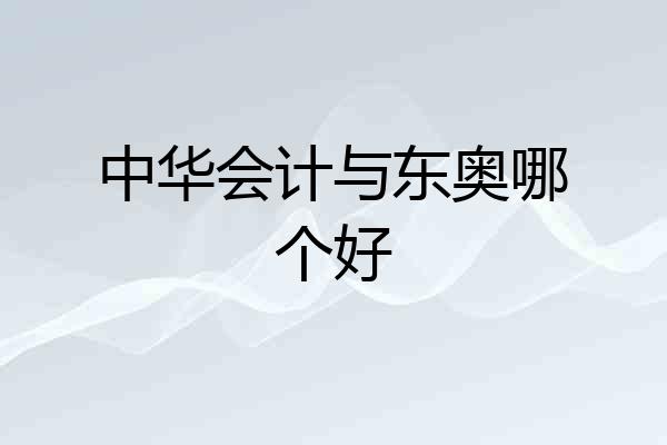 中华会计与东奥哪个好