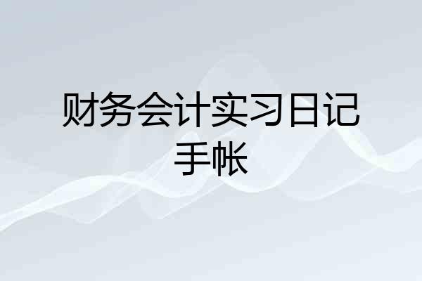 财务会计实习日记手帐