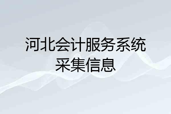 河北会计服务系统采集信息