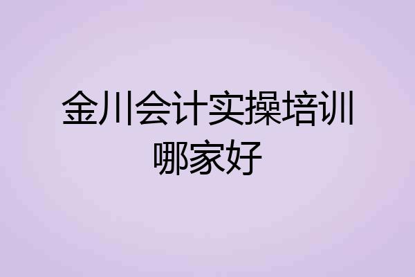 金川会计实操培训哪家好