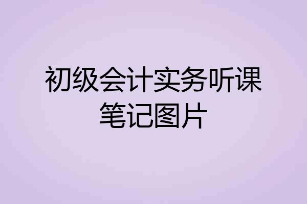 初级会计实务听课笔记图片