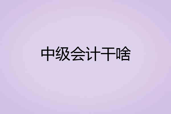 中级会计干啥