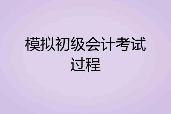 模拟初级会计考试过程