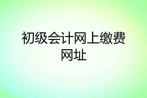 初级会计网上缴费网址
