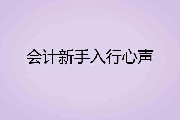 会计新手入行心声