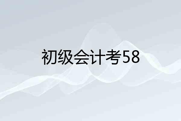 初级会计考58