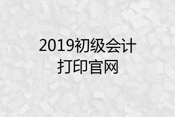 2019初级会计打印官网