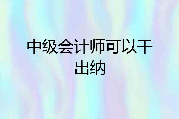 中级会计师可以干出纳