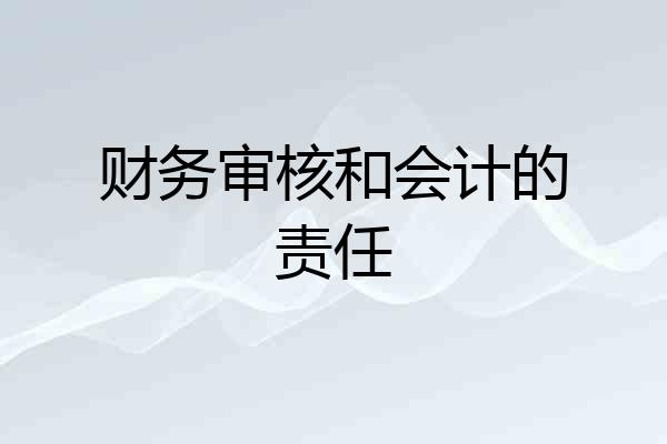 财务审核和会计的责任
