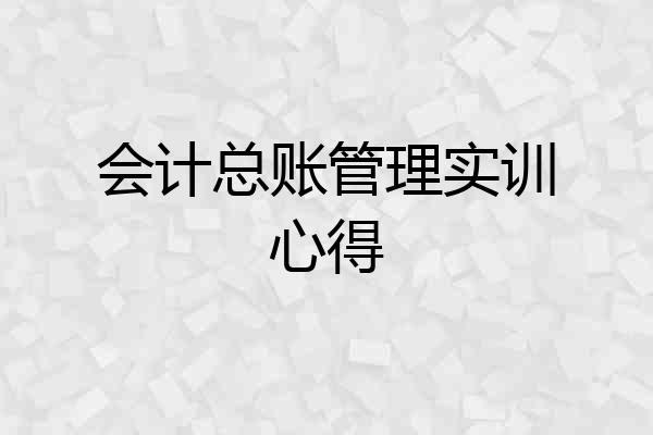 会计总账管理实训心得