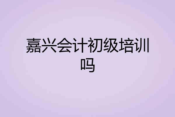 嘉兴会计初级培训吗