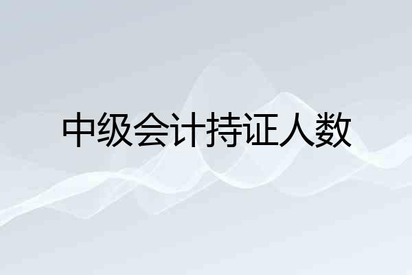 中级会计持证人数