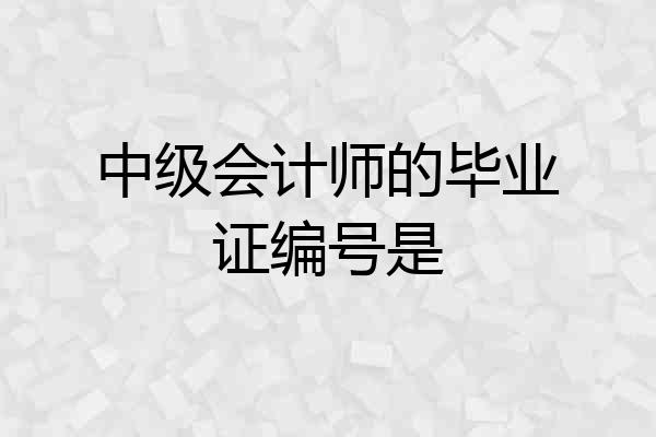 中级会计师的毕业证编号是