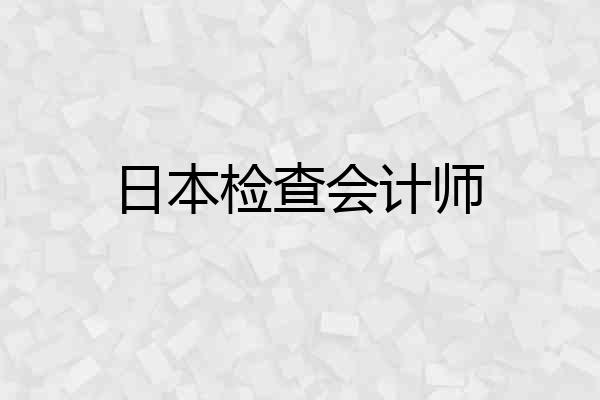 日本检查会计师