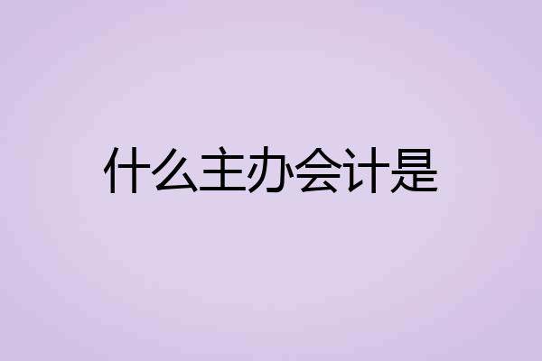 什么主办会计是