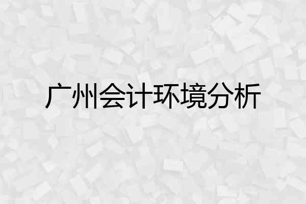 广州会计环境分析
