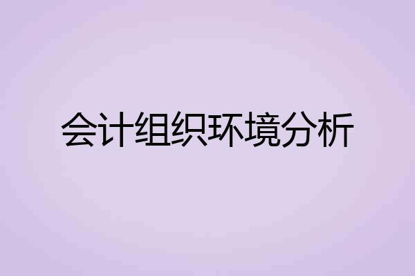 会计组织环境分析