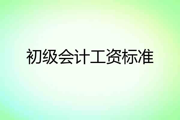 初级会计工资标准