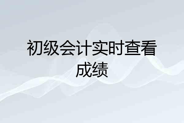 初级会计实时查看成绩
