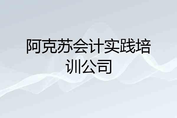 阿克苏会计实践培训公司