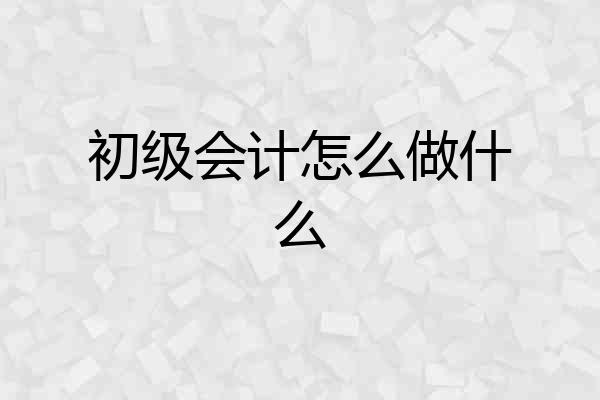 初级会计怎么做什么