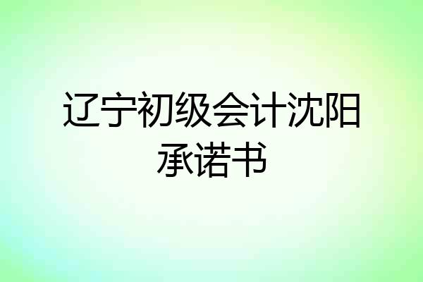 辽宁初级会计沈阳承诺书