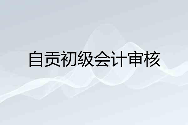 自贡初级会计审核