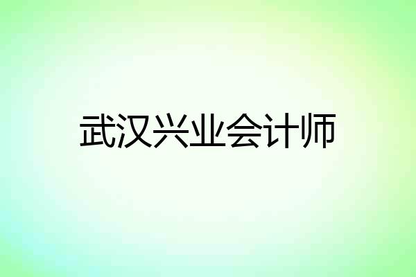 武汉兴业会计师