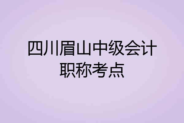 四川眉山中级会计职称考点