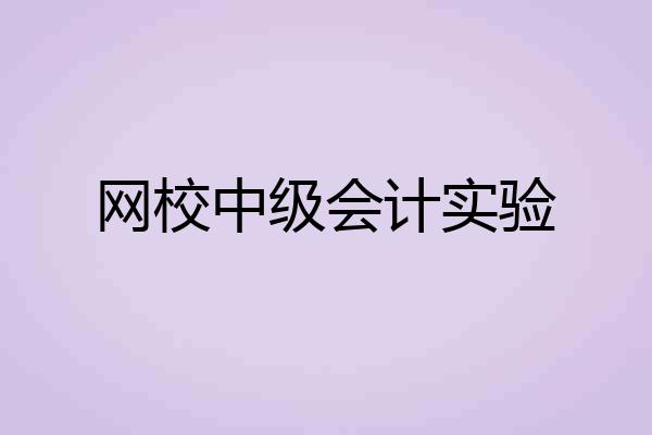 网校中级会计实验