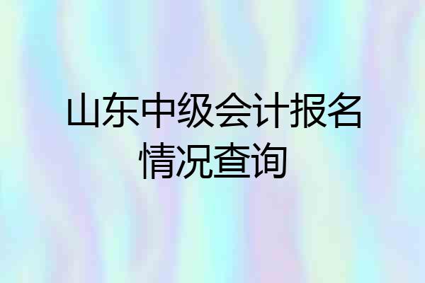 山东中级会计报名情况查询
