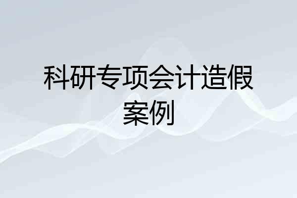 科研专项会计造假案例