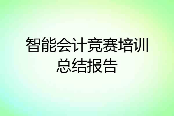 智能会计竞赛培训总结报告