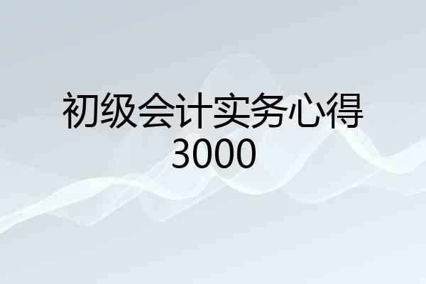 初级会计实务心得3000