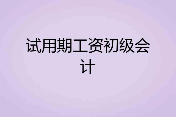 试用期工资初级会计