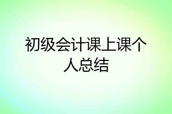 初级会计课上课个人总结