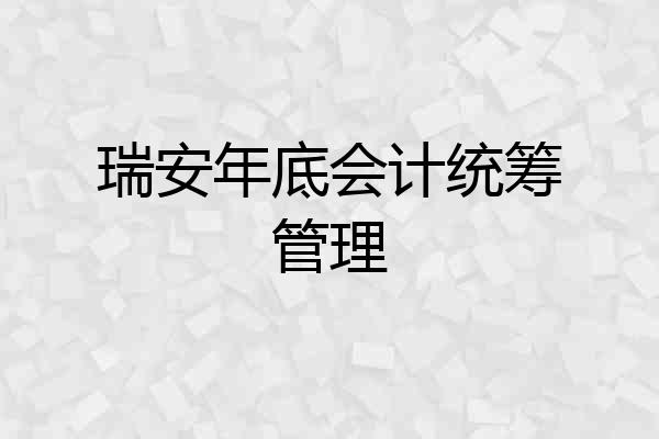 瑞安年底会计统筹管理